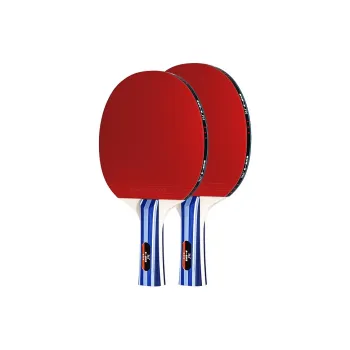 361° Ping Pong Paddles