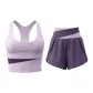 Changrong Purple+Dark Eggplant Purple