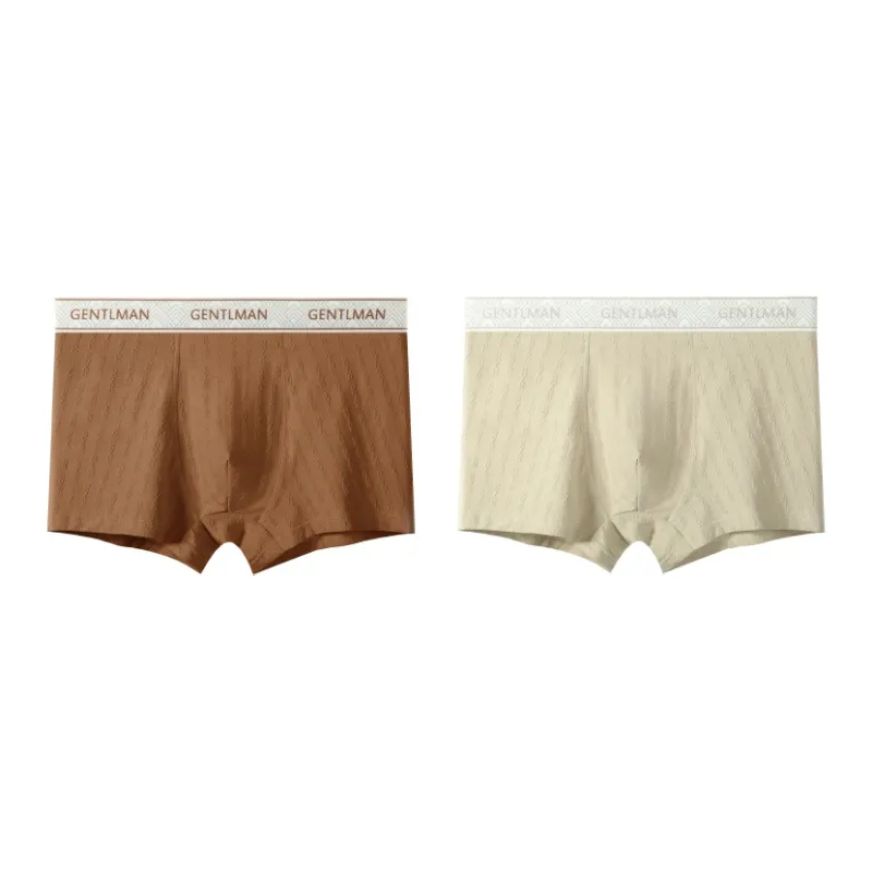 PLANDOO Underpants Men's 2 Pack-2