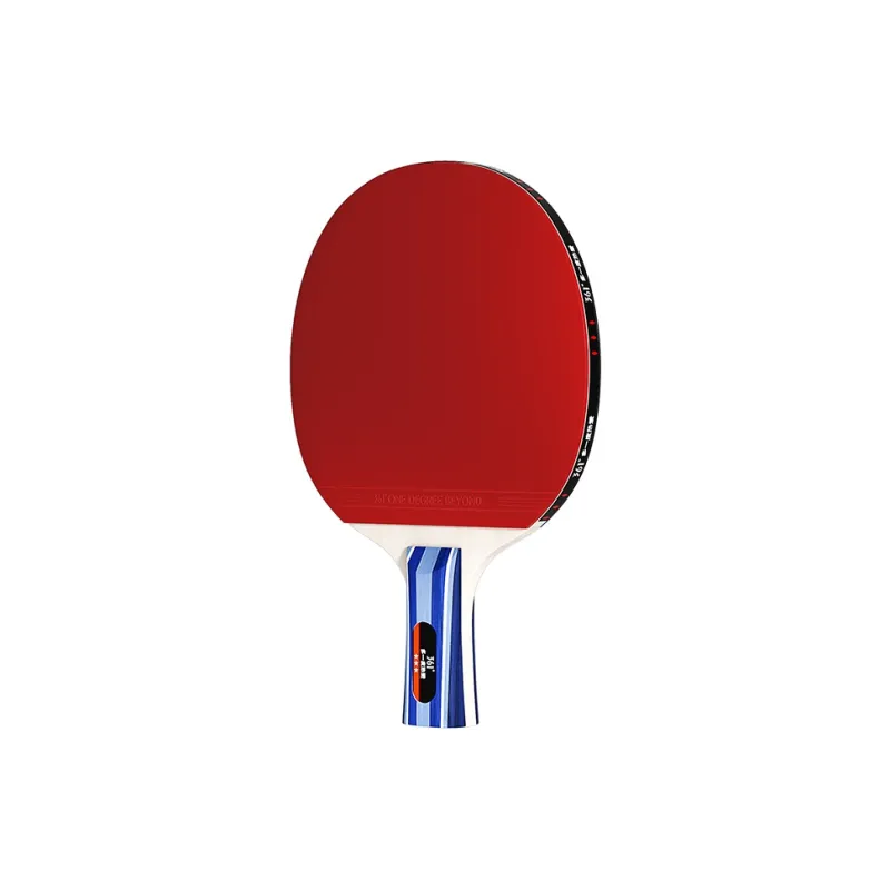 361° Ping Pong Paddles-6
