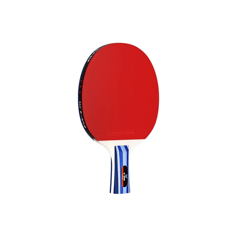 361° Ping Pong Paddles-7