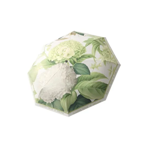 Qiao Anju Umbrellas