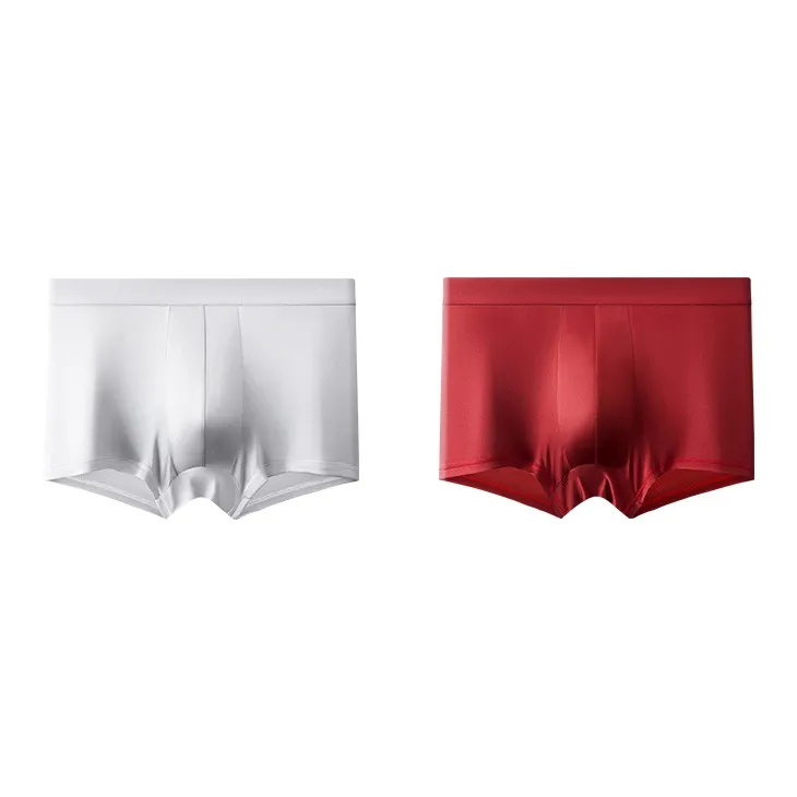 EFUTON Underpants Men's Combo Set-9