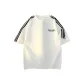 White & Black Webbing