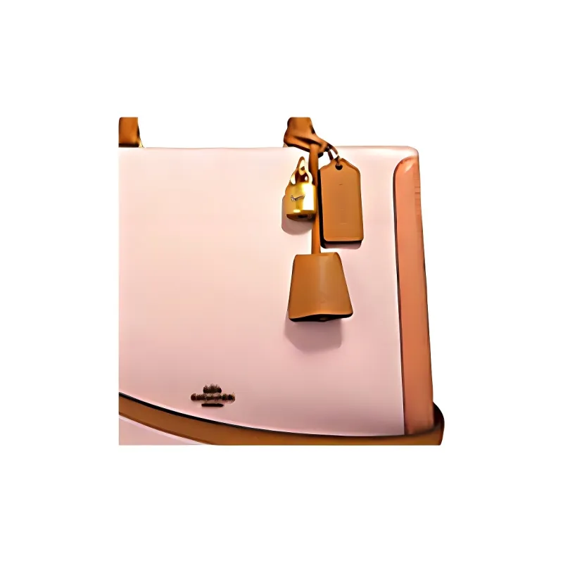 COACH Zoe Handbags-1