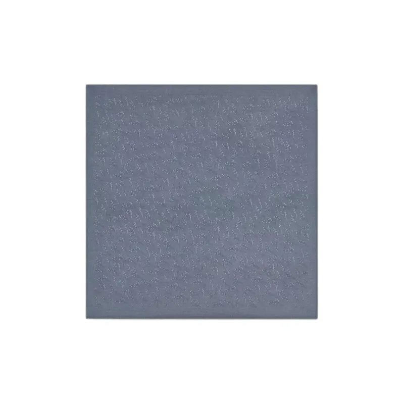 DIOR Silk Scarves Men-0