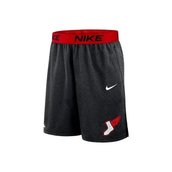 Nike Chicago White Sox Authentic Collection City Connect Men's Nike Dri FIT Mlb Shorts