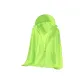 Neon Green