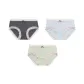 Dusty Blue, Light Green, Dark Gray
