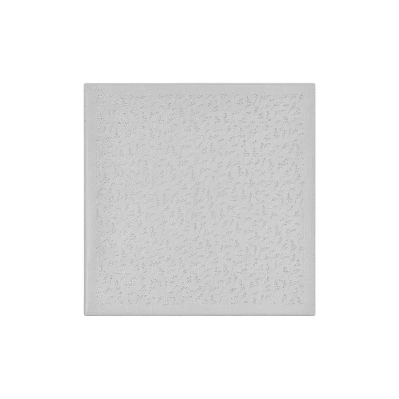 DIOR Silk Scarves Unisex-0
