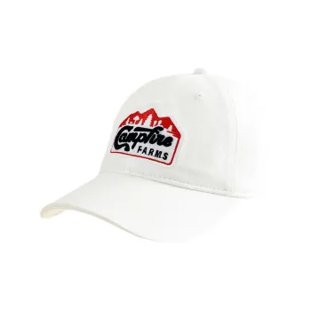 BIG WASP Cotton Baseball Caps Kids'
