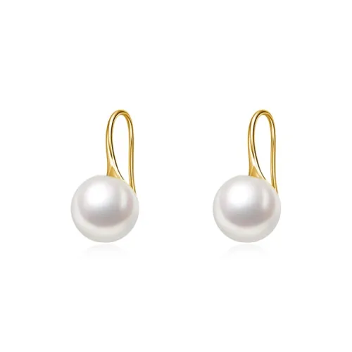 Shiban S925 Silver Earrings Unisex