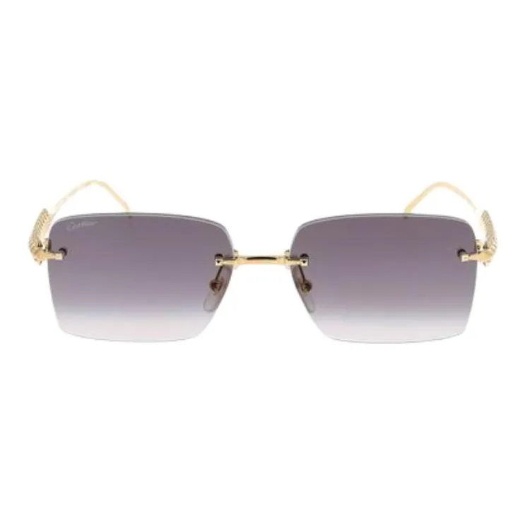 Cartier Eyewear Rectangle frame Sunglasses-0