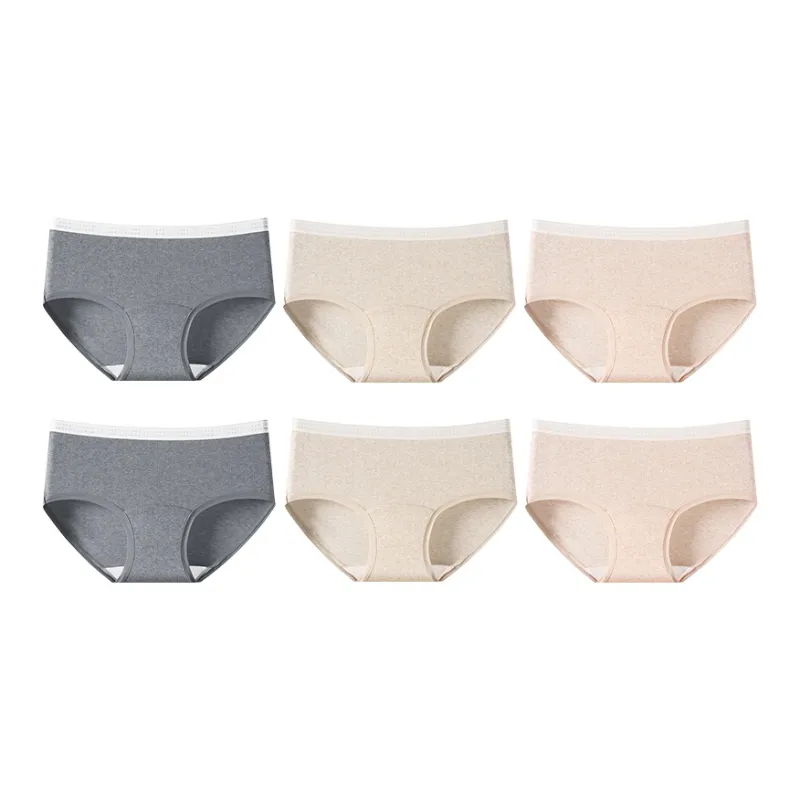 ROBINHOOD Underpants Women's Combo Set-17