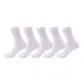 5 Pack (White)