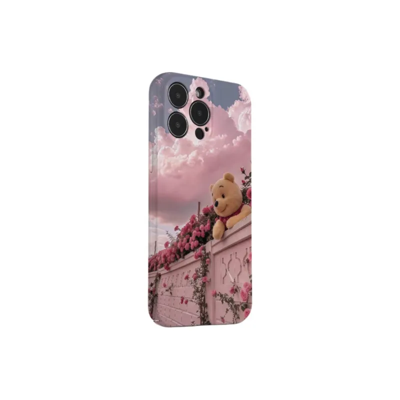 HASEE Phone Cases-7