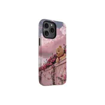 HASEE Phone Cases