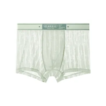 PLANDOO Underpants Men's Combo Set