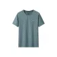 Asphalt Gray