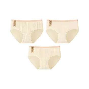 2323 Women's Underpants