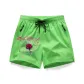 Fluorescent Green Ice Ribbon Thorn Rose