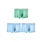 Sky Blue+Sky Blue+Light Green