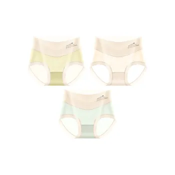 2323 Women's Underpants