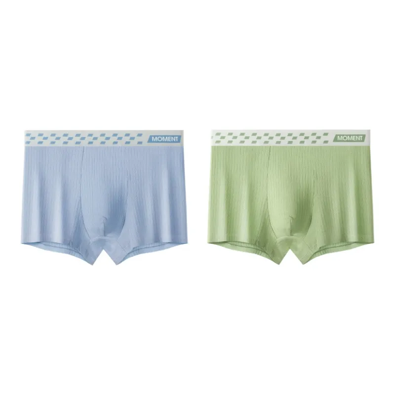 PLANDOO Underpants Men's 2 Pack-12