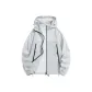 Polar Gray