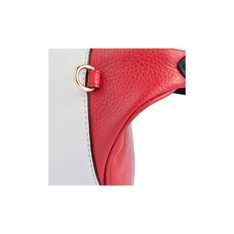 COACH Belt Fanny Packs-3