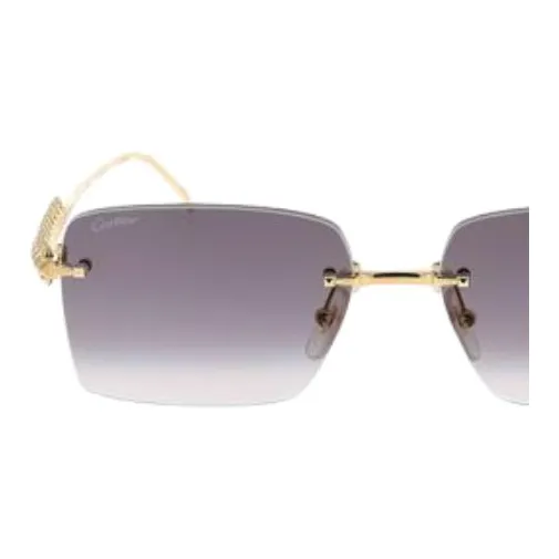 Cartier Eyewear Rectangle frame Sunglasses-2