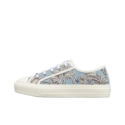Pietro Ruffo x DIOR Walk'n'Dior Low Top Skateboard Shoes Women's Blue