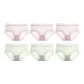 6 Pack (Cherry Blossom Pink 3+Fresh Green 3)