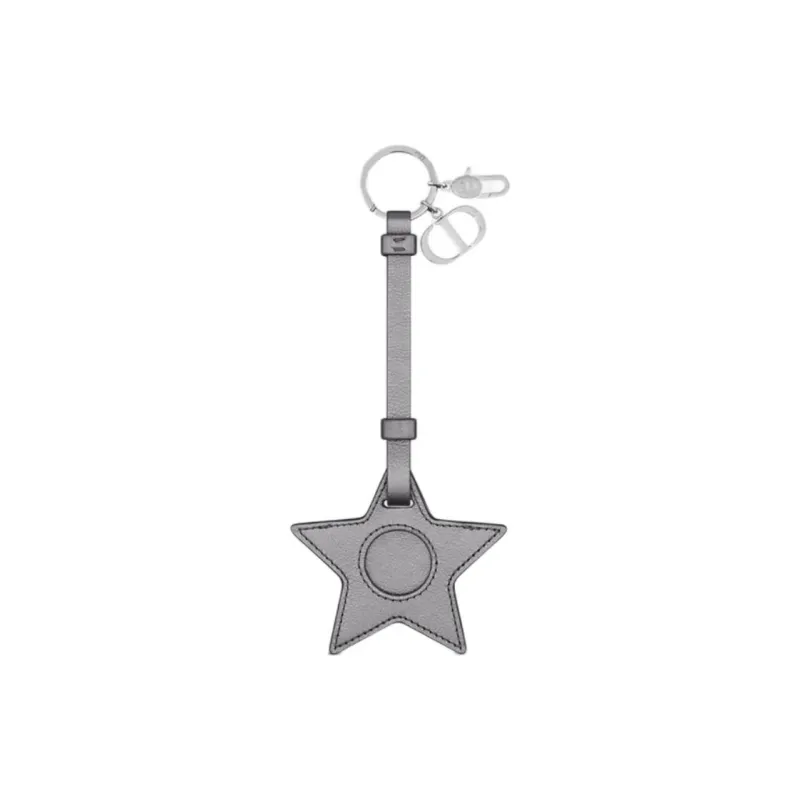 DIOR Calfskin Bag Accessory Unisex Silver-0