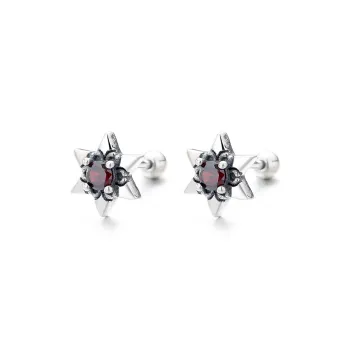 KwOnline S925 Silver Stud Earrings Unisex