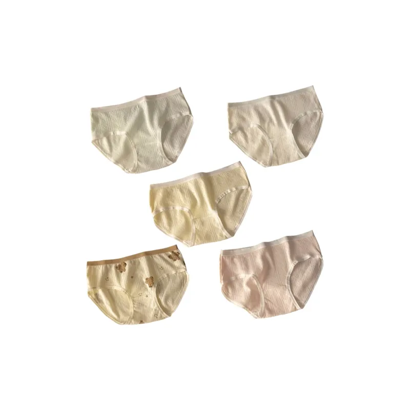 Flowers In Water Underpants Women's 5 Pack-0