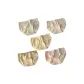 5-Pack (White+Skin+Green+Pink+All over Print)