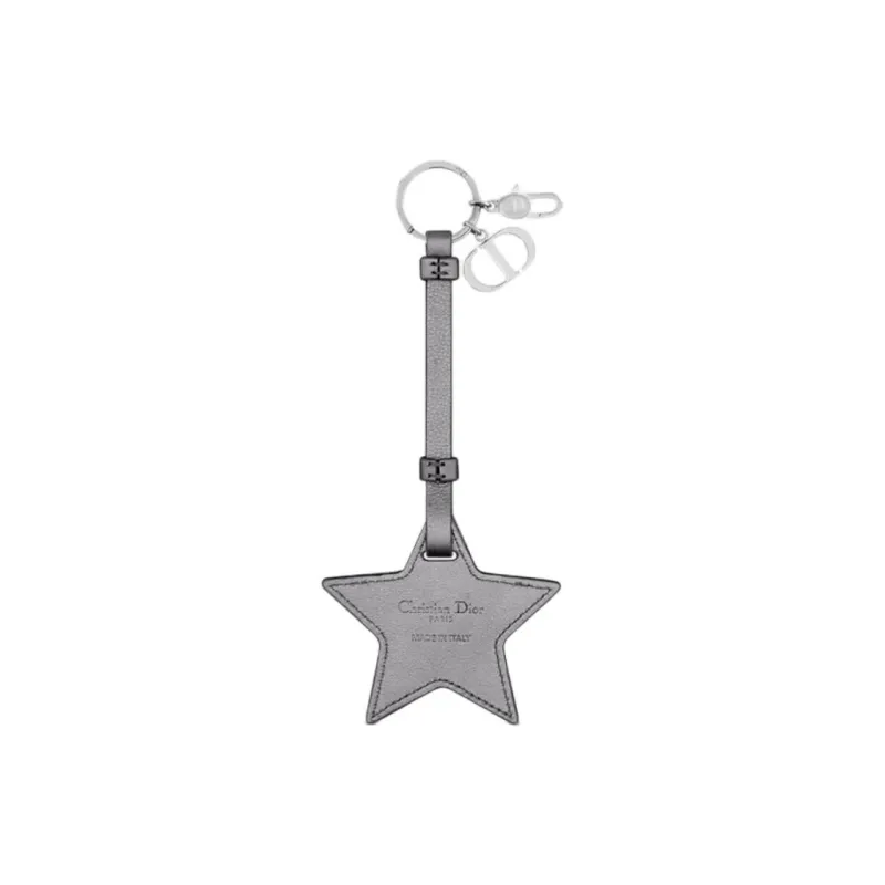 DIOR Calfskin Bag Accessory Unisex Silver-1