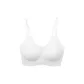 Shell White