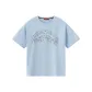 Light Aqua Blue