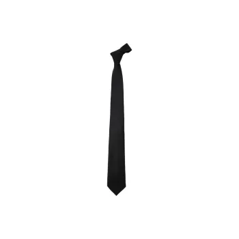 Tagliatore Polyester Ties Men's Black