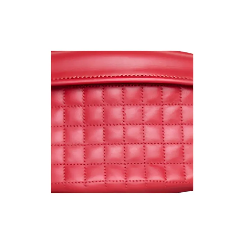 CELINE Fanny Packs-4