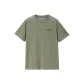 14 Gray Green