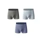 Iron Gray+Light Asphalt Gray+Star Cluster Purple