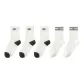 3 White BEAR+2 White E