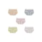 5 Pack (Light Coffee+Light Blue+Pink+Green+Light Gray)