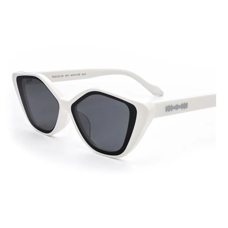 THE OWNER Plate Frame Irregular Shape Sunglasses Unisex-0