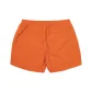 Tiger Striped Orange