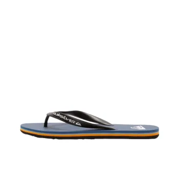 Quiksilver Flip Flops Men's Blue