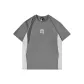 Stone Gray